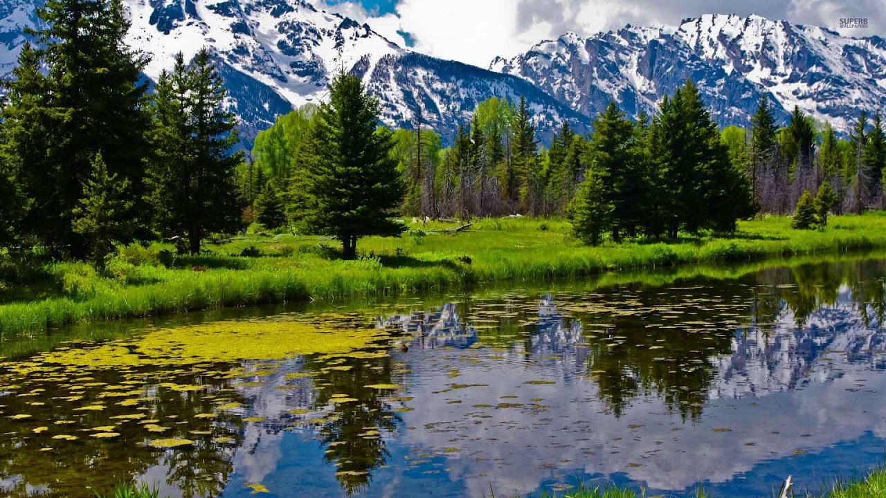 David Levithan 3 Best Motivation Cites