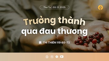 Trưởng Thành Qua Đau Thương | Tĩnh nguyện Lời Sống Hằng Ngày | 03 Tháng 12, 2025