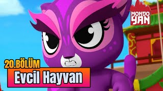 Mondo Yan Evcil Hayvan 20. Bölüm Türkçe Çizgi Film İzle