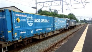 JR貨物 EF210-142号機[新] 貨物列車1058レ【何か釈然としない残念編成】