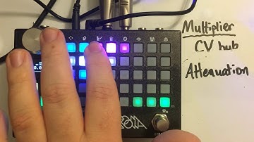 Empress ZOIA:  "Encyclopedia of CV:  Multiplier -- Hub of CV interactions"