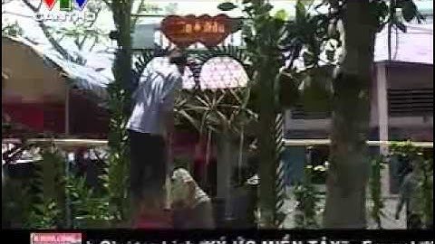 Ký Ức Miền Tây  Đám cưới quê miền tây