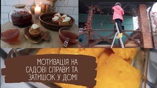 VLOG 🏡🍁ОСІННЄ ЧАЮВАННЯ☕ готую сад і город до зими🎃 ГАРБУЗОВІ КЕКСИ як обрати прогулянкову коляску