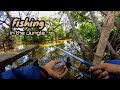 Spot Mancing liaran di hutan || wild fishing in the jungle