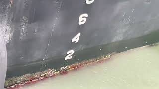 Famous Ship draft mark Wealth