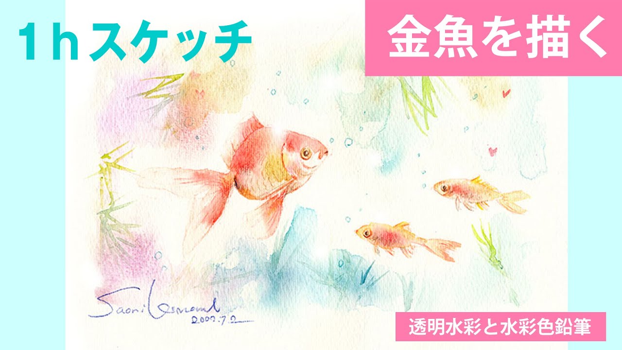 透明水彩と水彩色鉛筆】金魚を描く - YouTube