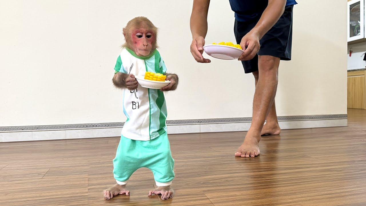 Bibi's simple breakfast at the abandoned villa but very happy!