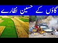 Village life Punjab Pakistan | Gao Kay Nazaray Ka Zabardast Vlog - Tractor Vlog