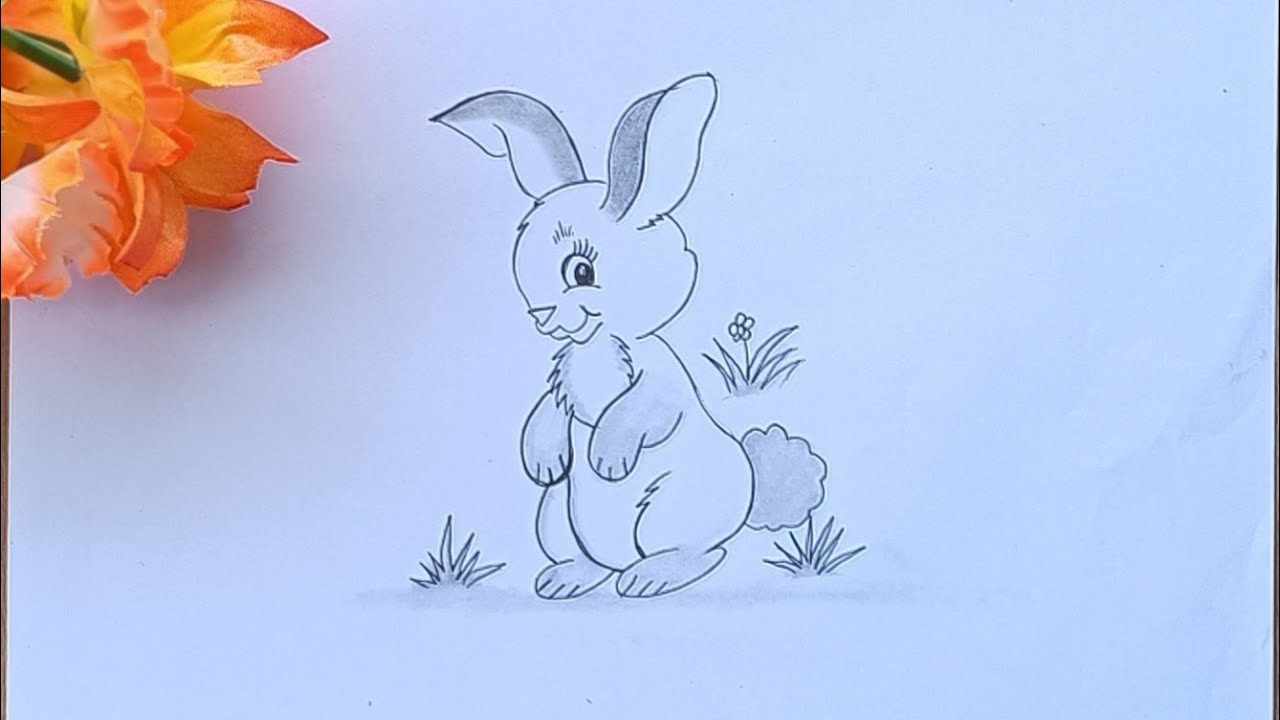 Simple and Easy Pencil Drawing of Bunny//How to Draw Bunny Rabbit