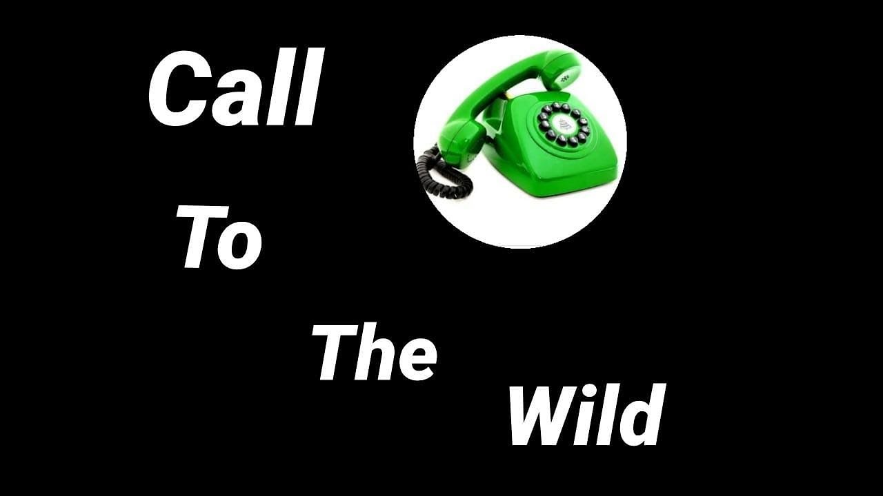 Call to the wild (Zombies 2) - lyrics