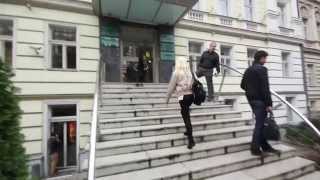 Představujeme University Of New York In Prague