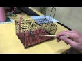 ラットマル（ニュータイプネズミ捕獲器）