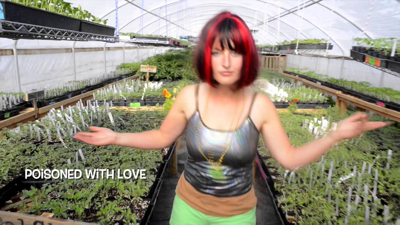 These Farmers Turned Blackstreet S No Diggity Into An Organic Gardening Anthem Salon Com