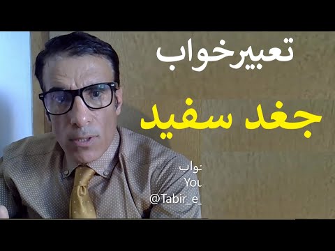 تعبیر خواب جغد سفید دیدن جغد سفید در خواب تعبیرخواب