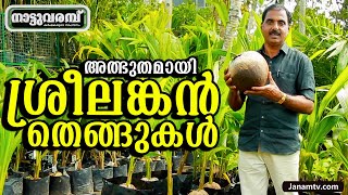 അത്ഭുതമായി ശ്രീലങ്കൻ തെങ്ങുകൾ | EP 269 | NATTUVARAMBU | VIRAL SREELANKAN COCONUT PLANTS | JANAM TV