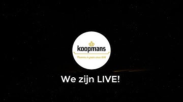 Koopmans ERP Project GoLive Startschot