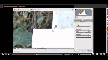 Camera Raw 6 Removing Chromatic Abberations