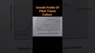 Growth Profile Of Plant Tissue Culture |Lag Phase | Exopential Phase | Stationary Phase |Death Phase