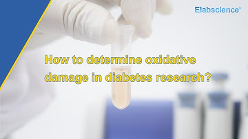 How to determine oxidative damage in diabetes research?