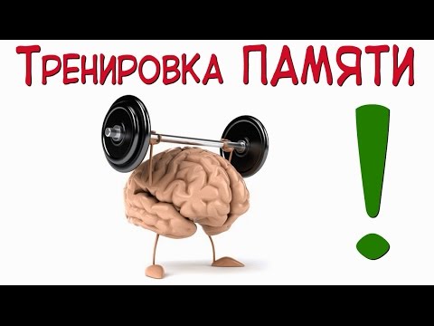 Тренировка памяти или как развить свой мозг?!