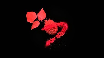 3D max straw flow test