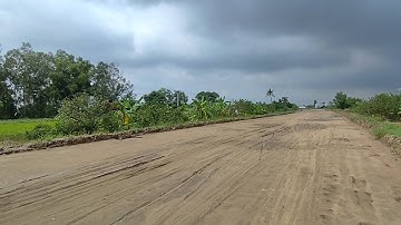 Ms 0827 Bán đất 4300 m CLN có 150 m thổ tỉnh lộ 864 Tân Hoà Gò Công 