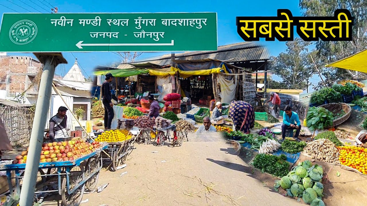 Naveen mandi mungra badshahpur jaunpur नवीन मंडी मुंगरा बादशाहपुर जौनपुर उत्तर प्रदेश