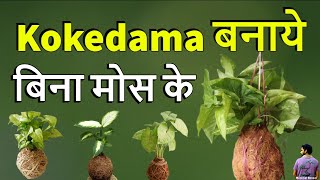 बिना मोस के कोकेदमा प्लांट कैसे बनाये। Kokedama Hanging Plant Without Moss .