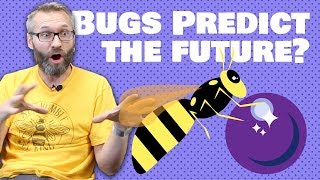 Bugs Predict the Future | NEWS!