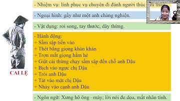 cùng học văn học với nguyễn  cứ 23