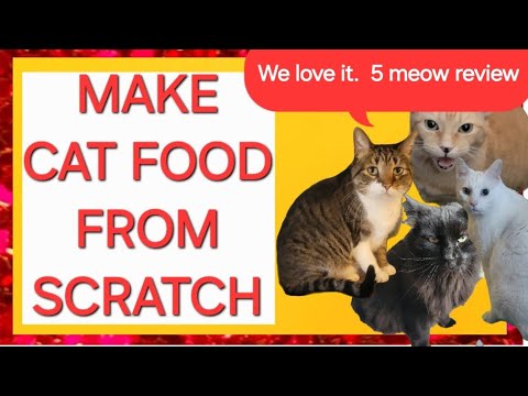 😺 Cat Lady Confessions: Making Homemade Cat Cuisine from 'scratch'! #pressurecooker #homemadecatfood