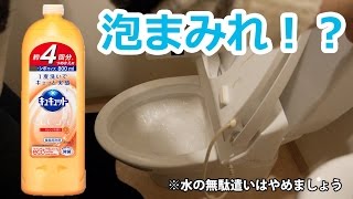 【検証】洗剤を便器タンクに大量投入するとトイレが２年間ピカピカになるらしい