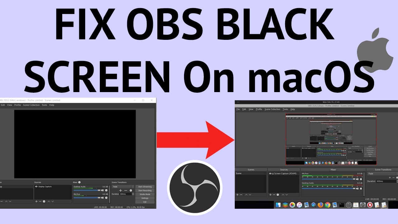 Mac Obs Black Screen Display Capture Solved Youtube