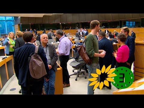 Parliamentary Groups: The Greens-European Free Alliance