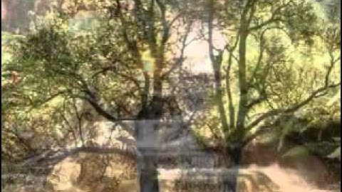 zoom out-crossfade-zoom in.avi