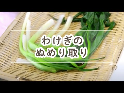 ワケギの茹で方・ぬめりの取り方【料理の基本】