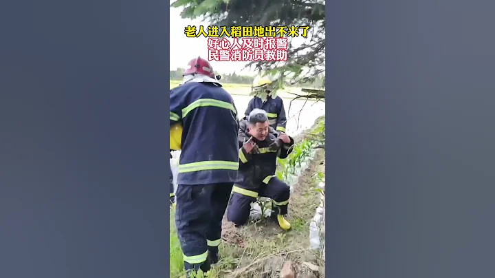 黑龍江哈爾濱，老人進入稻田地出不來了，好心人及時報警，民警消防員救助！ #消防員 #救援 #老人家 - 天天要聞