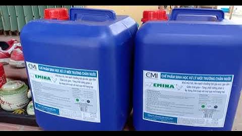 4 công thức khử mùi hôi chuồng trại hiệu quả