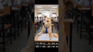 Jab padhai zero ho aur paper full tough aaye 😂🐶 #funny #funnydog #dogmemes #examtime #studentlife#