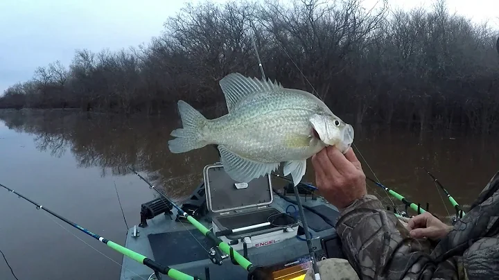 OUACHITA RIVER CRAPPIE FISHING