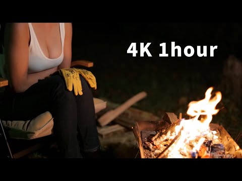 【チッチと焚き火】4K 焚き火BGM動画 1時間。ASMR、作業用、睡眠用、ドライブ中
