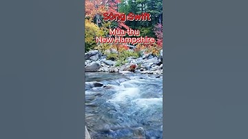 Cảnh Đẹp Như Tranh: Thác Nước Nhỏ & Rừng Lá Vàng