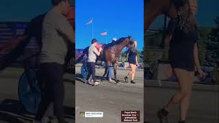 Pepsi North American Cup 🐎@Woodbine Mohawk Park🐎🐎🐎