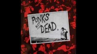 Miniatura del video "the exploited-son of a copper"