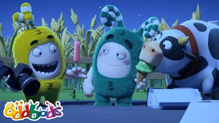 udder theft oddbods full episode funny cow cartoons kids