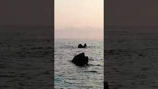 Средиземноморье. Италия. Побережье Тирренского моря.