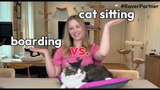 How I find cat sitting every time I travel (boarding vs in-home sitter)