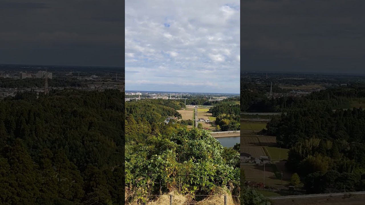 2023Autumn afternoon