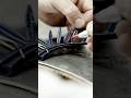 The Makin of Palme d’Or