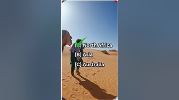 General Knowledge Trivia: What